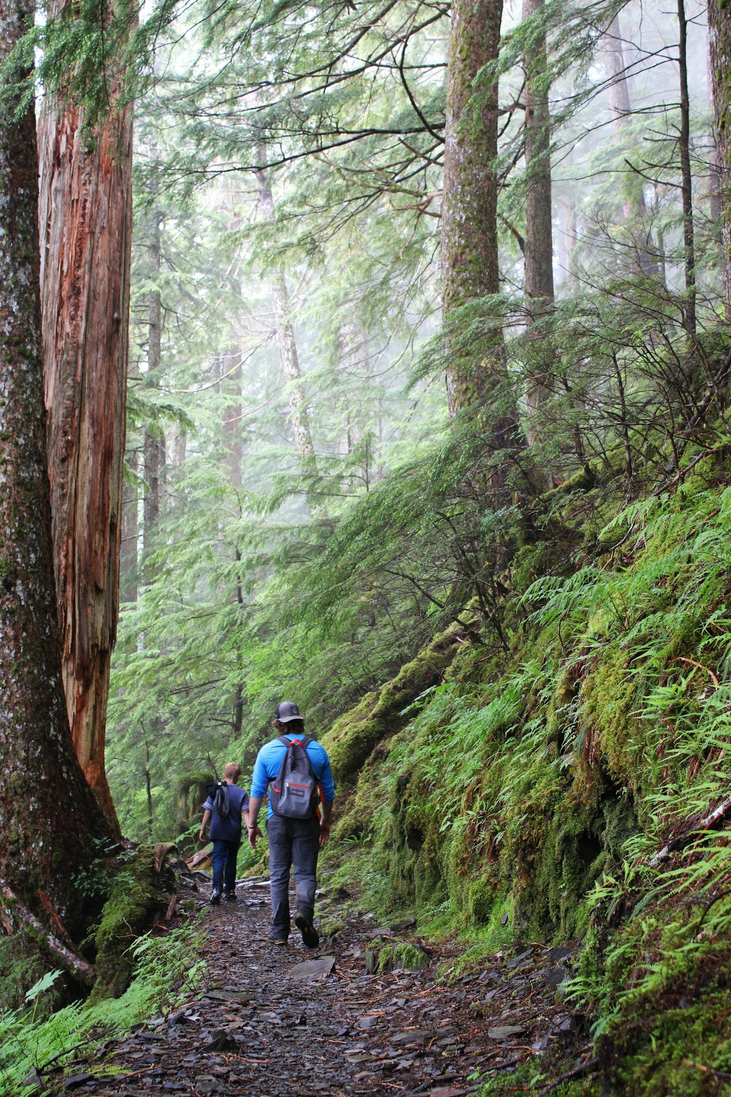 How Hiking Builds Unshakable Father-Son Relationships