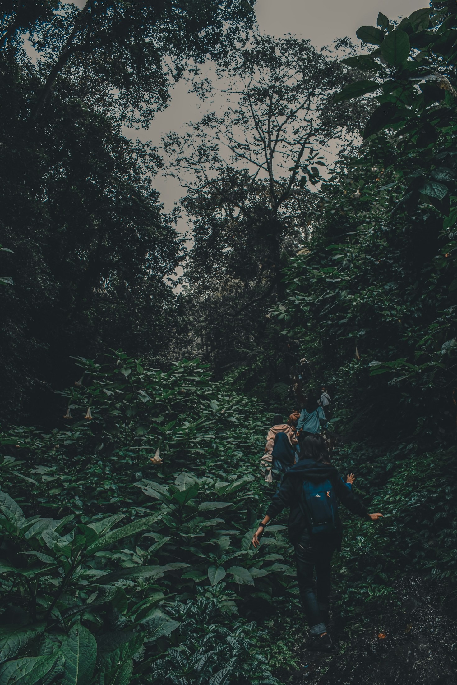 Why Hiking is the Perfect Family Tradition