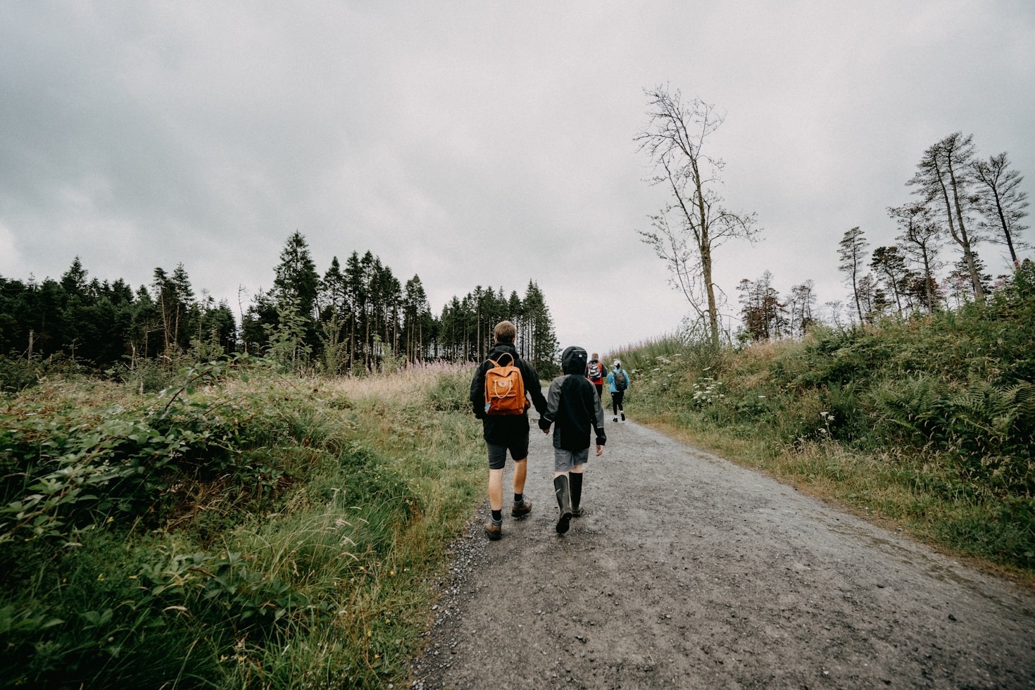 The Therapeutic Power of Hiking for Family Bonds